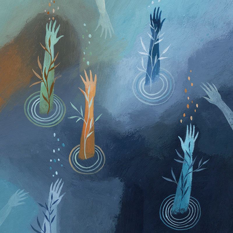Tracie Grimwood